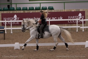 Lusitano Breed Society of Great Britain Show - Hartpury College - 27th June 2009